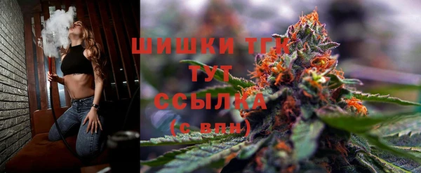 амф Инта