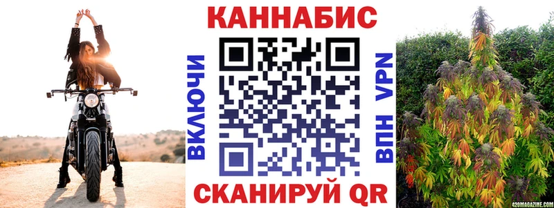 Бошки марихуана планчик  Касли 